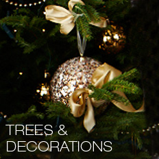 christmas-trees-and-decorations.jpg